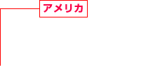 アメリカ 建設(shè)事業(yè)、商業(yè)施設(shè)事業(yè) サービスアパートメント事業(yè) 不動(dòng)産開発事業(yè)、賃貸住宅事業(yè) 戸建住宅事業(yè)、海外建設(shè)技術(shù)調(diào)査