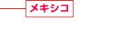 メキシコ 建設(shè)事業(yè)、環(huán)境事業(yè) サービスアパートメント事業(yè)