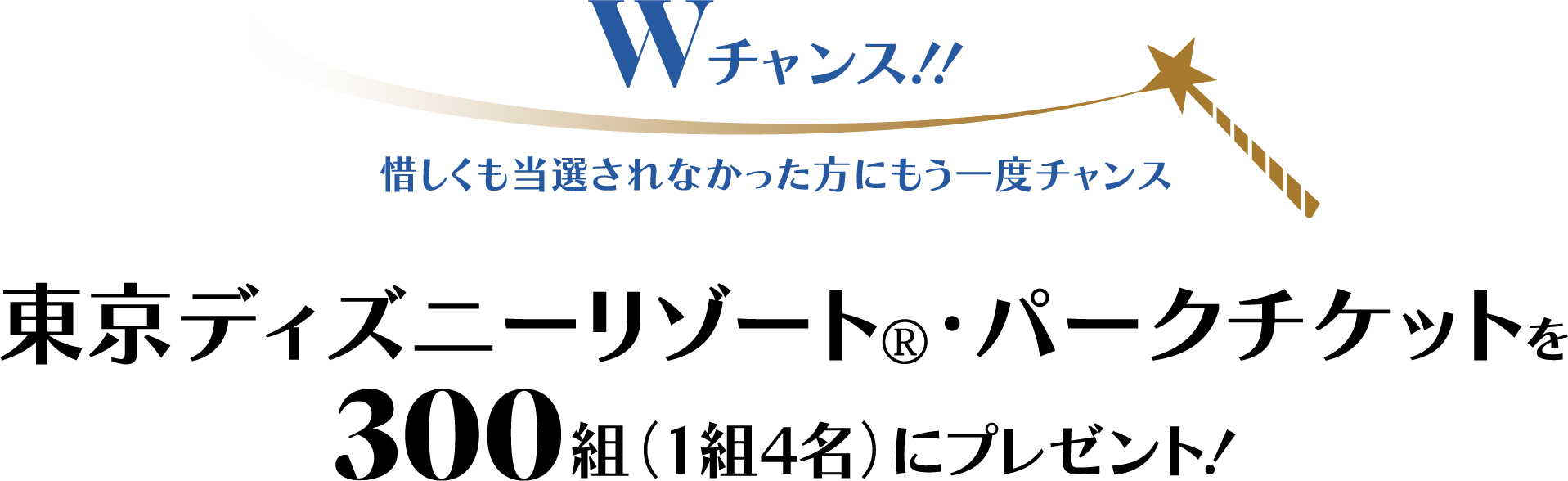 Wチャンス！！惜しくも當選されなかった方にもう一度チャンス 東京ディズニーリゾート®?パークチケットを300組（1組4名）にプレゼント！