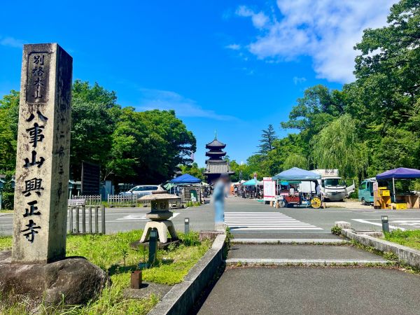 興正寺 900m 寫(xiě)真撮影日：2024-06-21 