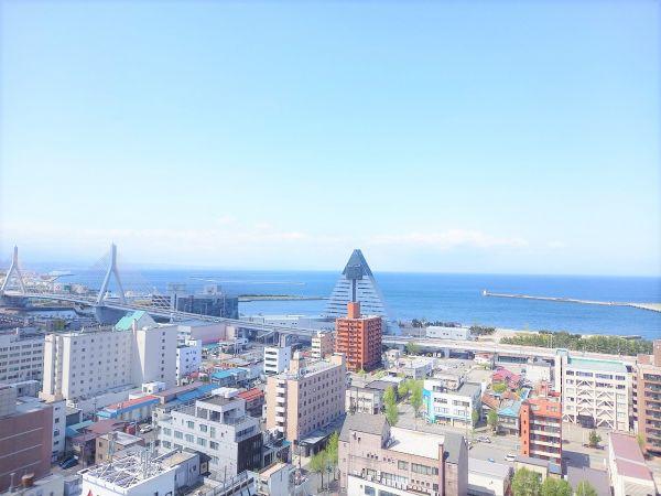 その他  寫真撮影日：2024-05-03