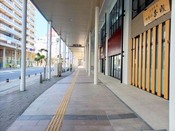 その他  寫真撮影日：2024-05-03