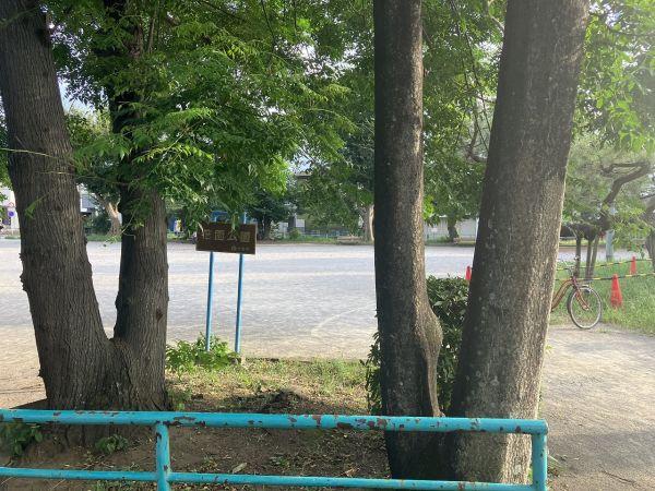 千葉市花園公園 240m 寫真撮影日：2023-08-27