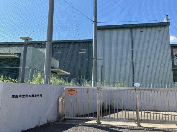 牧の原小學(xué)校 400m 寫真撮影日：2024-09-15