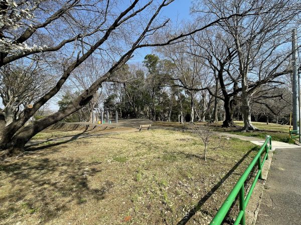千城臺西公園 290m 寫真撮影日：2025-03-24 