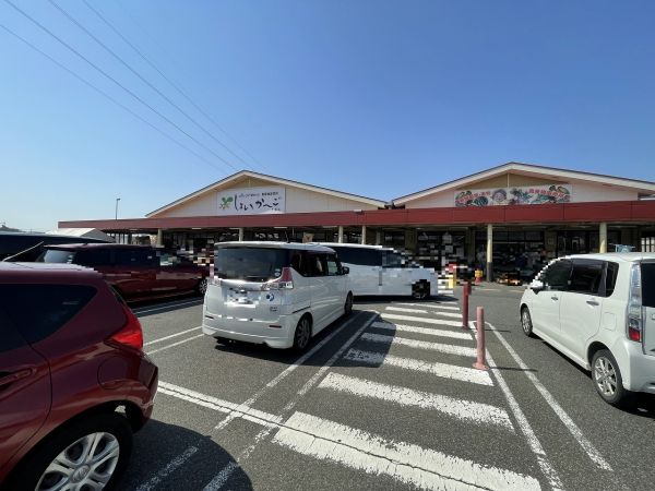 JAみらい　しょいか?ご千葉店 600m 寫真撮影日：2025-03-24 