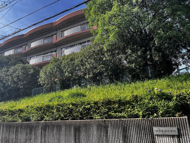 柏中學校 850m 寫真撮影日：2025-06-08