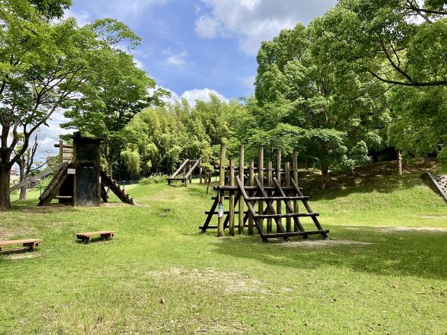 泉臺中央公園 380m 寫真撮影日：2025-06-30