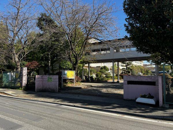 薬円臺小學校 600m 寫真撮影日：2023-11-18
