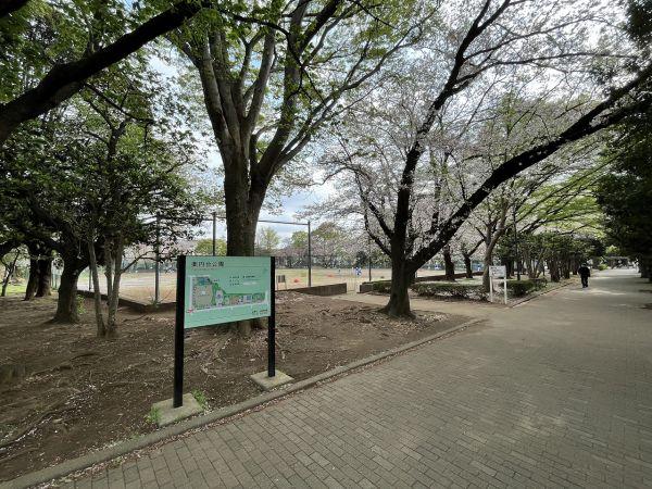 薬円臺公園 50m 寫真撮影日：2023-11-18