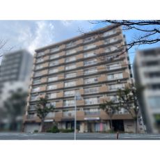 北西側バルコニーからの眺望
