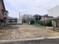 2025年6月撮影