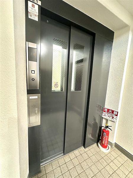 その他  寫真撮影日：2025-03-22