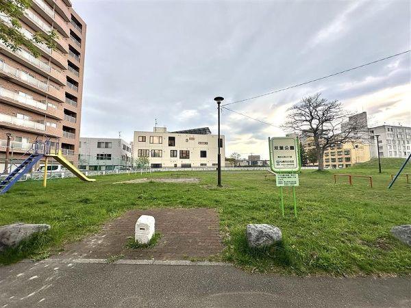 雙葉公園 350m 寫真撮影日：2025-03-22 