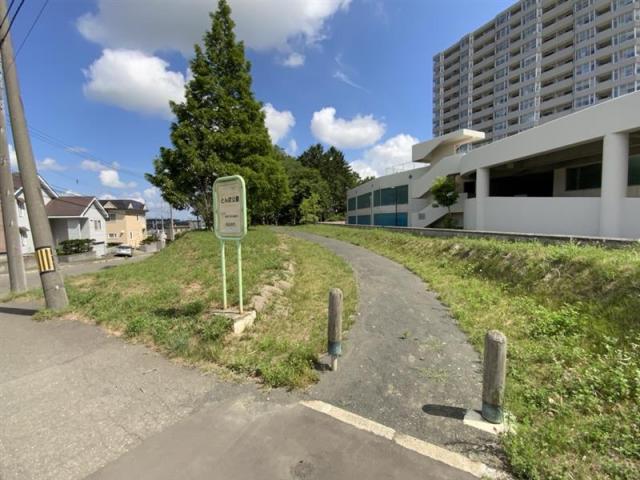 とんぼ公園 80m 寫真撮影日：2025-08-03