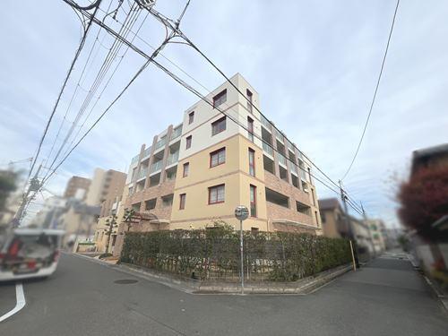 現地寫真（２０２４年１２月撮影）