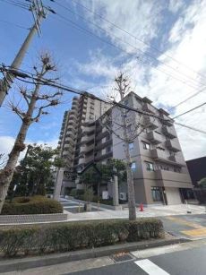 現地寫真（２０２５年３月撮影）