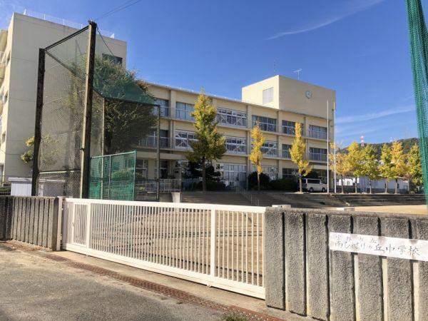 寶塚市立南ひばりガ丘中學校　 1700m 寫真撮影日：2024-11-14