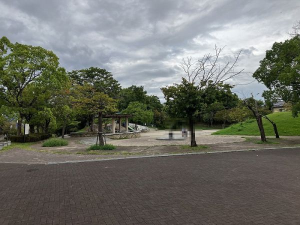 ゆりのき臺公園 260m 寫真撮影日：2025-03-17 
