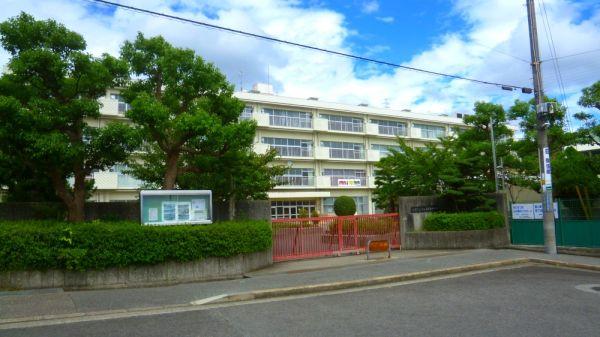 寶塚市立中山五月臺中學(xué)校 700m 寫真撮影日：2025-04-28