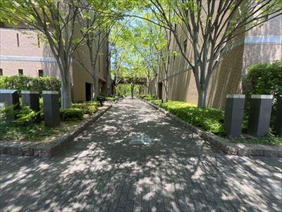 敷地內通路