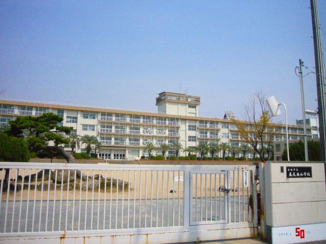 寶塚市立長尾南小學校 850m 寫真撮影日：2025-08-03