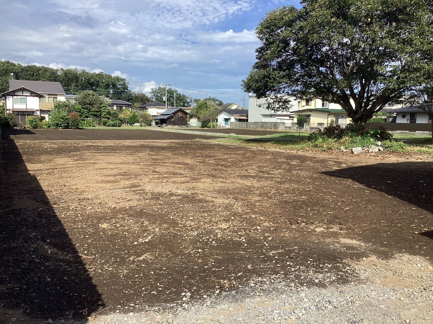 現地（2025年10月撮影）