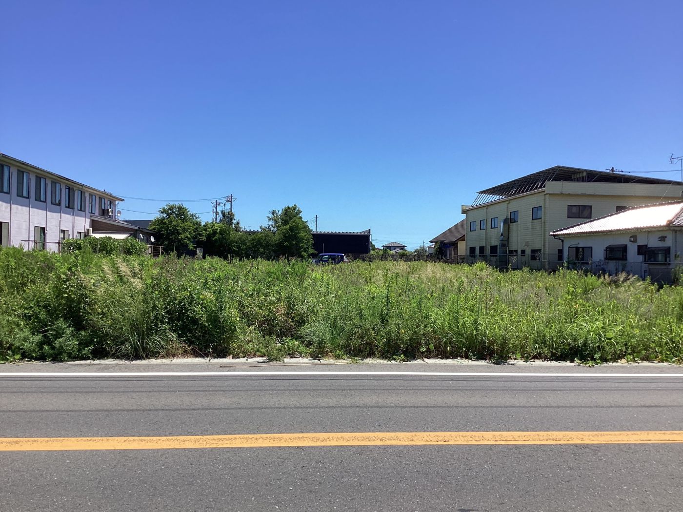 現地西側 寫真撮影日：2025-07-29