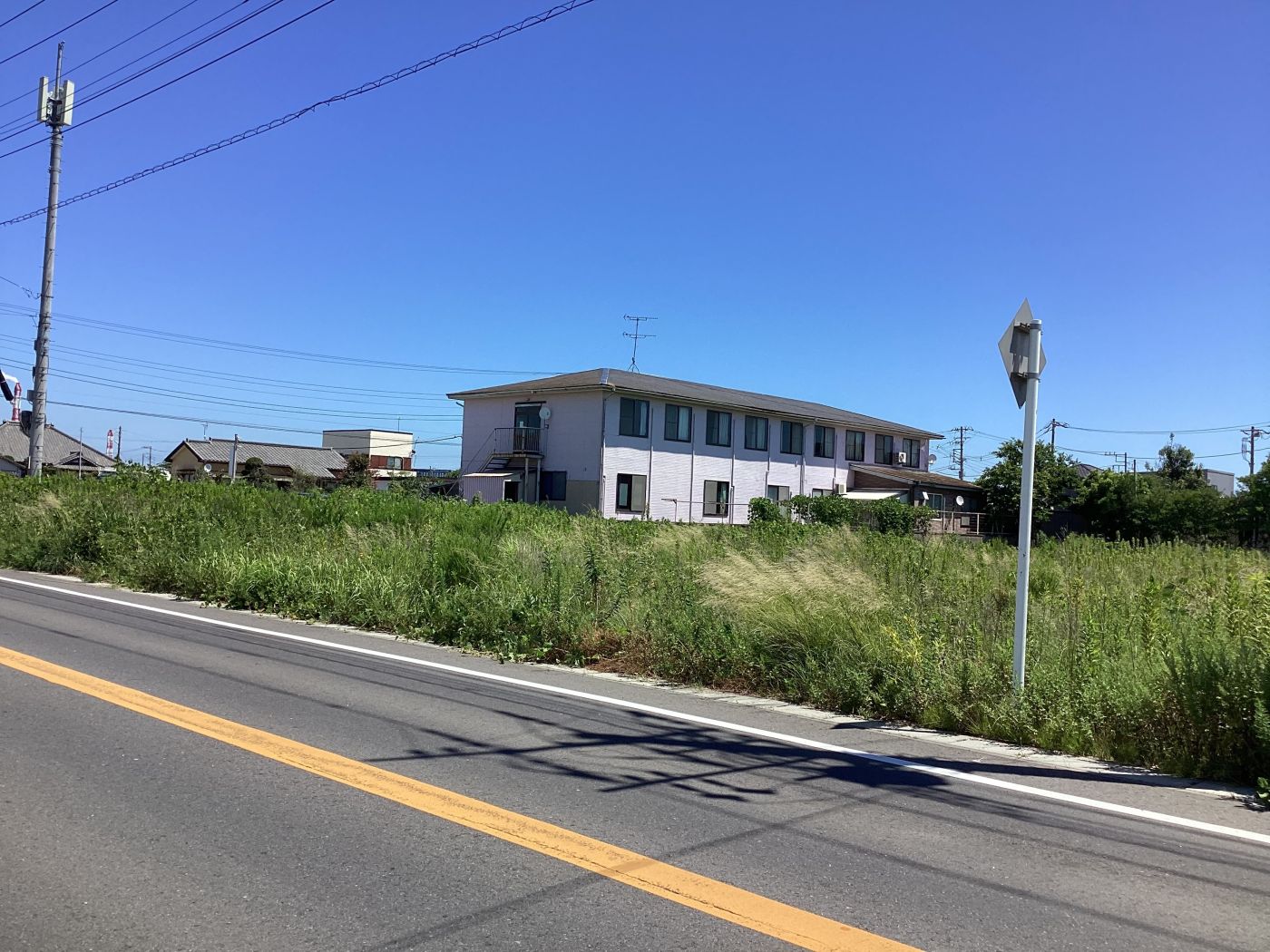 現地南西側 寫真撮影日：7/29/25, 12:00?AM