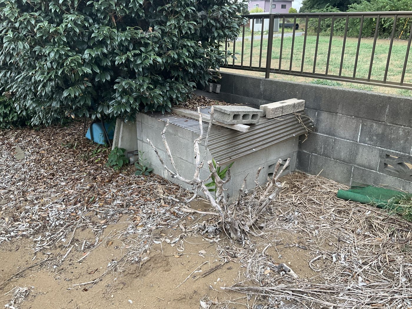 井戸 寫真撮影日：9/1/25, 12:00?AM