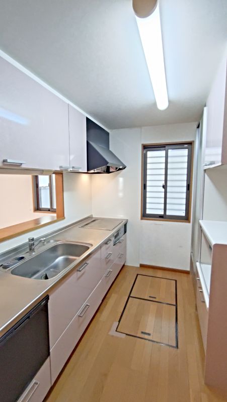 ２０２５年７月撮影