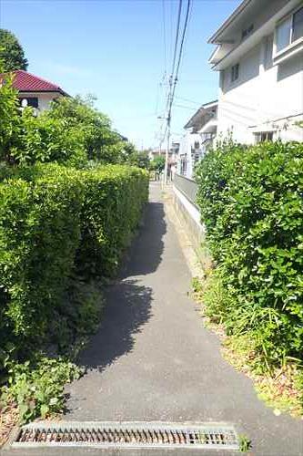 前面道路（２０２４年５月撮影）