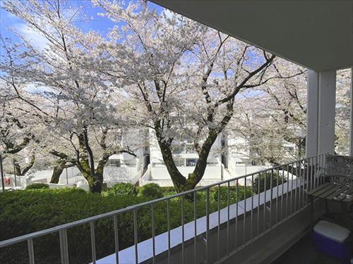 テラスからの眺望