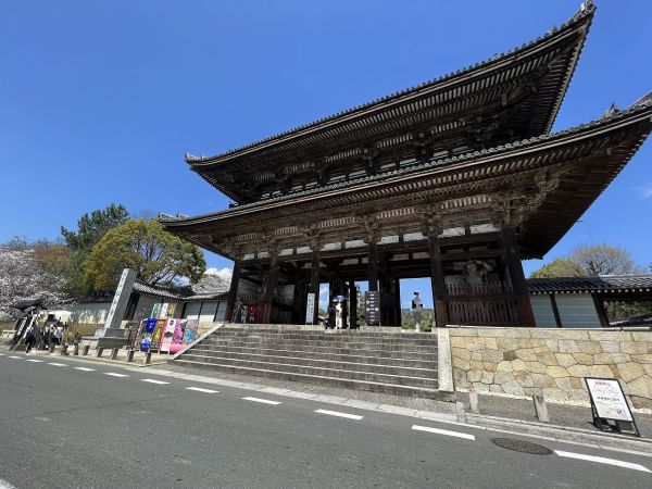 仁和寺 2100m 寫真撮影日：2024-08-16 