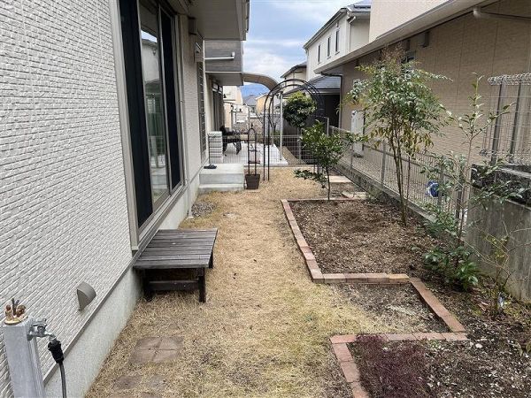 庭  寫真撮影日：2025-03-03