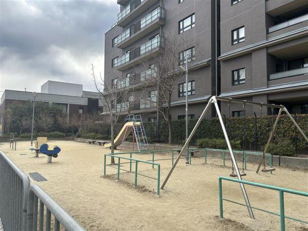 吉田河原公園 50m 寫真撮影日：2025-02-07