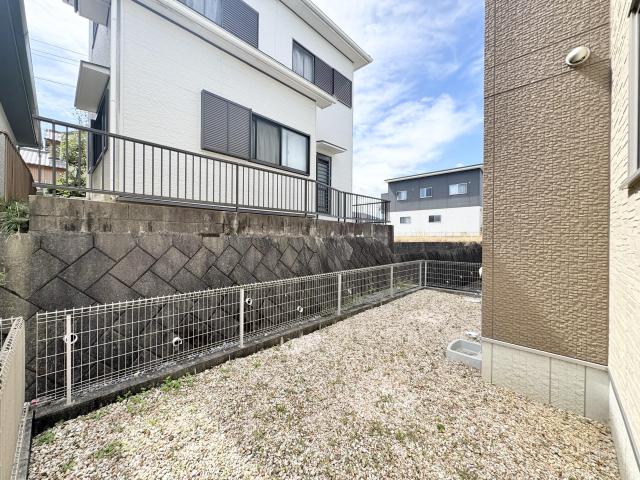 庭  寫真撮影日：2025-09-21