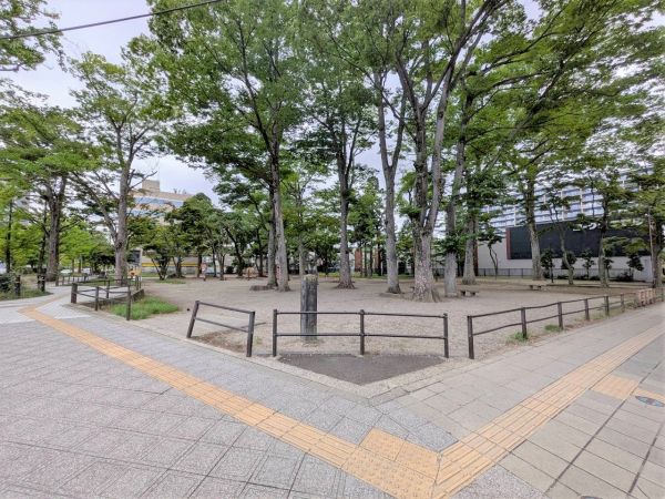勝山公園 650m 寫真撮影日：2024-08-16 