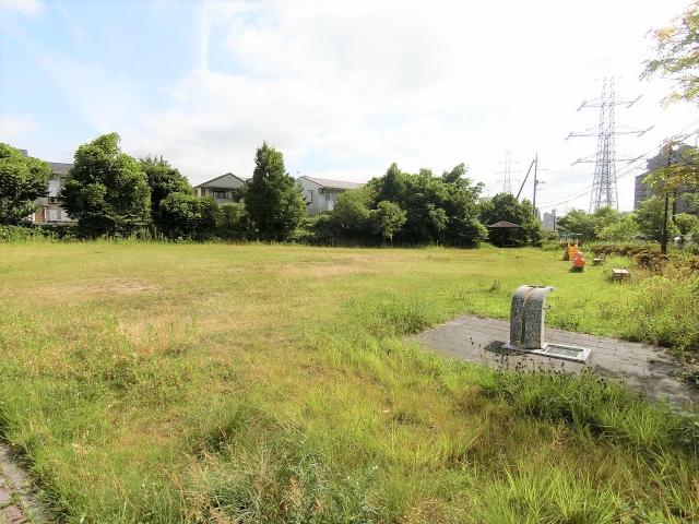 みずほ臺公園 100m 寫真撮影日：2025-07-13