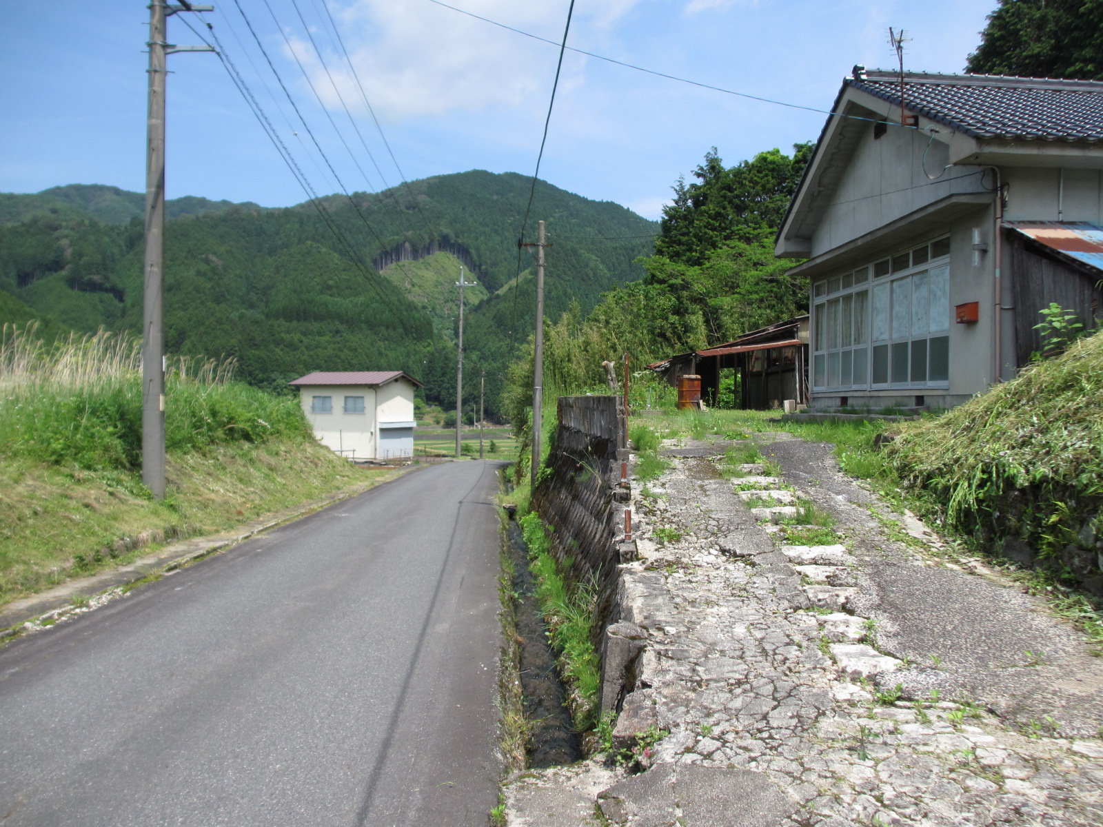 前面道路 寫真撮影日：6/7/23, 12:00?AM