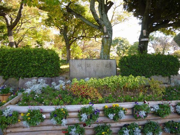 城跡公園 500m 寫真撮影日：2024-12-14