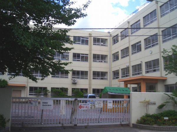 市立竹の內小學校 350m 寫真撮影日：2025-03-15