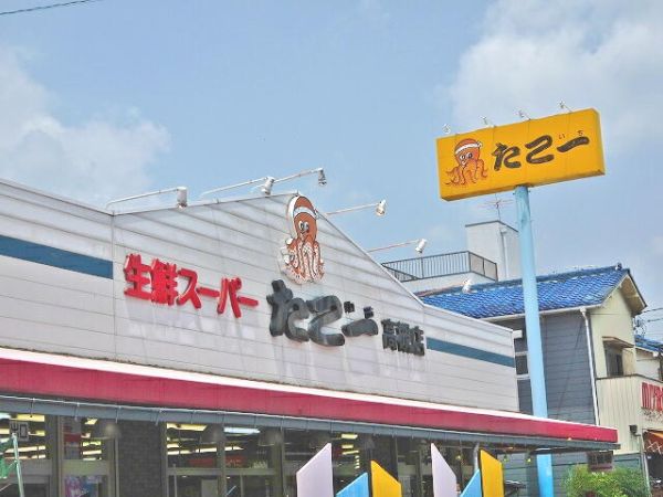 生鮮スーパーたこ一高槻店 590m 寫真撮影日：2025-03-21 