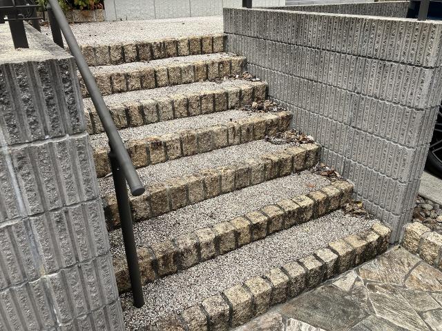 その他現地  寫真撮影日：2025-06-09