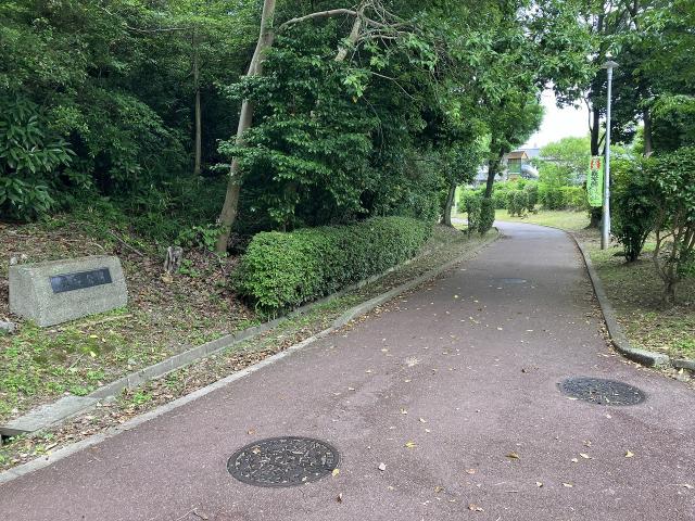 槇塚公園 350m 寫真撮影日：2025-06-09