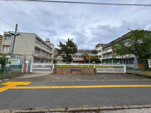 堺市立光竜寺小學校