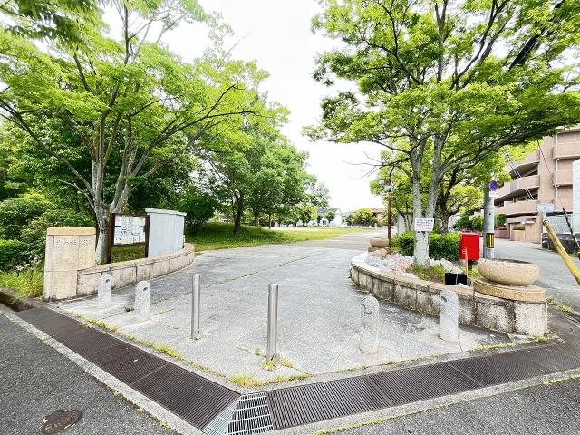 北の杜公園 350m 寫真撮影日：2025-07-04