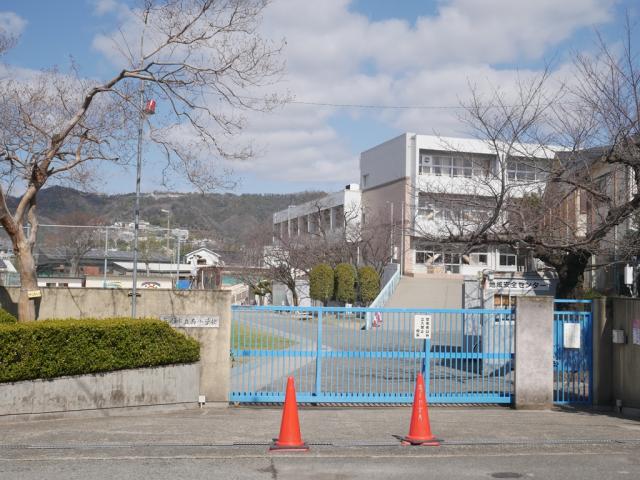 箕面市立南小學校 980m 寫真撮影日：2025-07-04