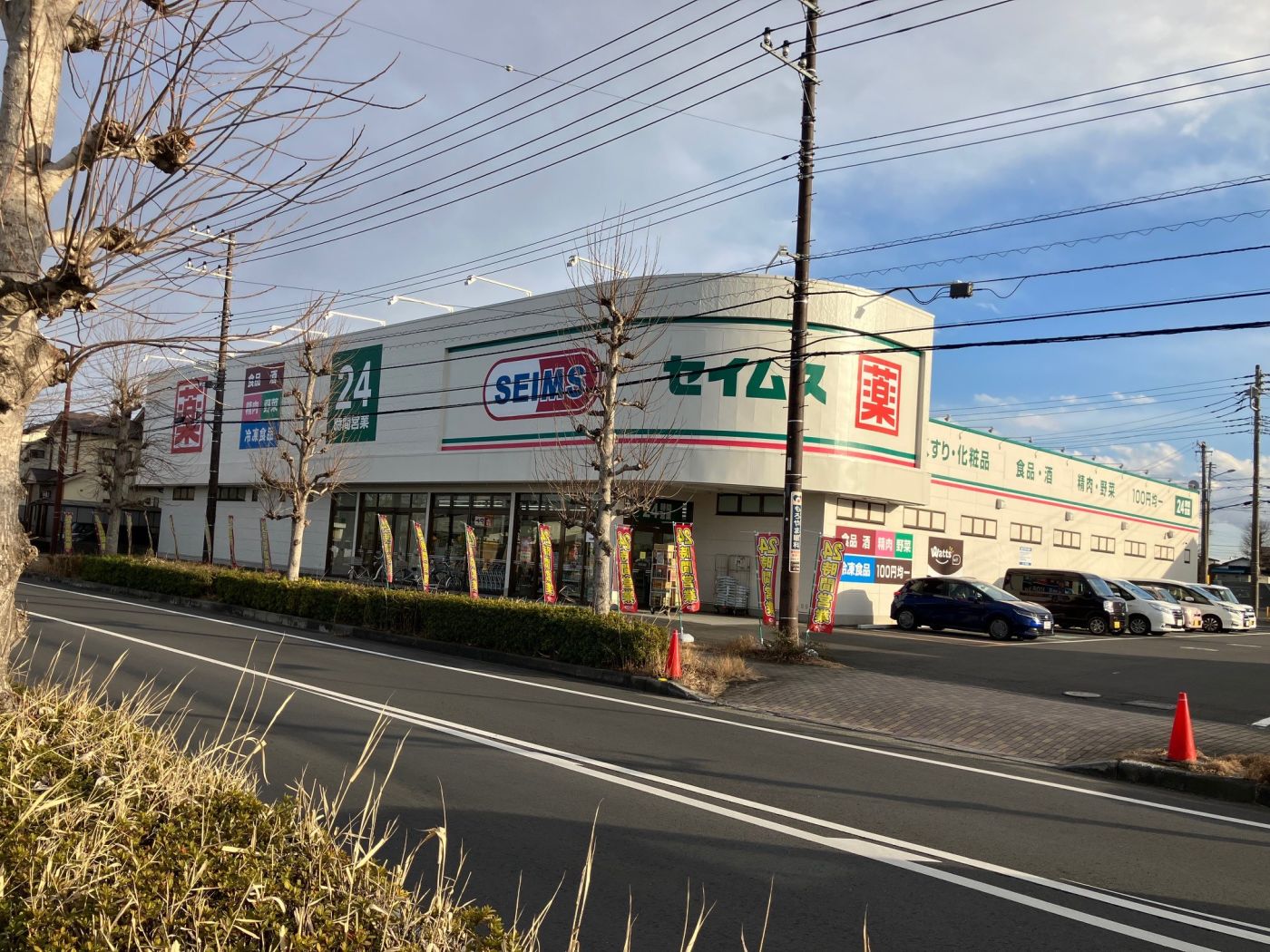 ドラックセイムス坂戸入西店：徒歩6分