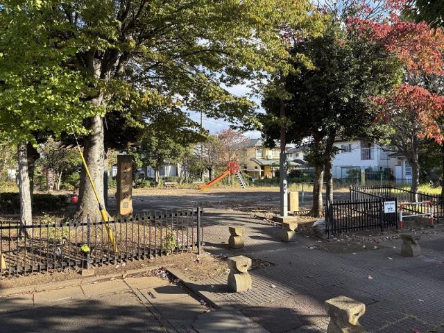 新白岡さくら公園 450m 寫真撮影日：2025-11-30